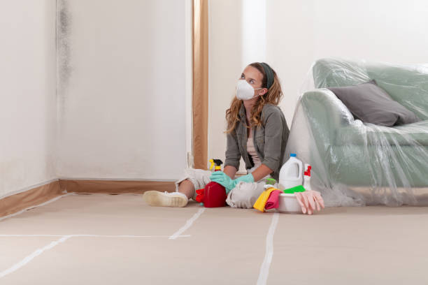 Reliable Mold Remediation contractor in Belleair Beach, FL by WQB Mold Removal